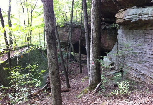 Blue Heron Loop, Big South Fork